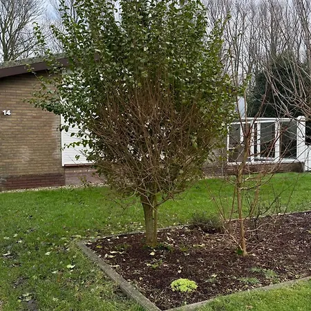 Tatil Evi Zandloper Gentiaan 14 Julianadorp